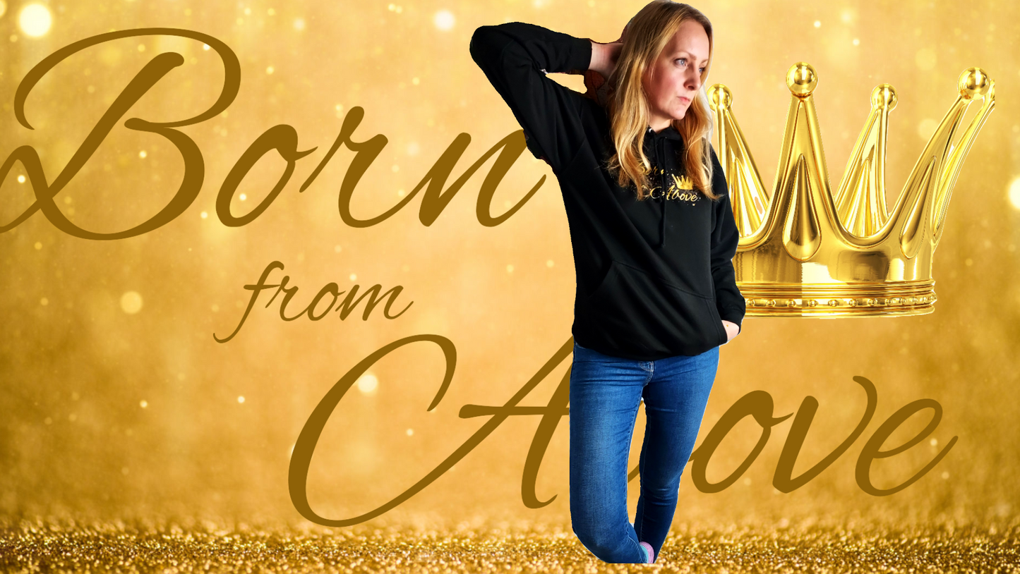 Christian college hoodie - Born from Above black